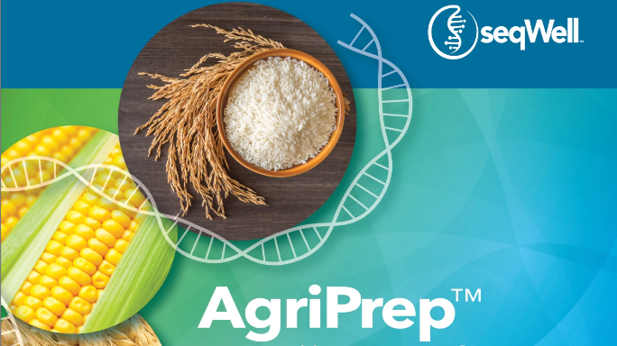 Onso product 2024 brochure