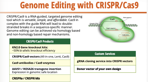 Onso product 2024 brochure