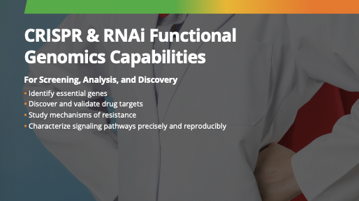 Onso product 2024 brochure