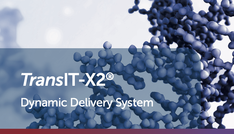 Onso product 2024 brochure