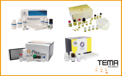 Saggi ELISA