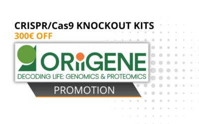 300€ off Knockout Kits