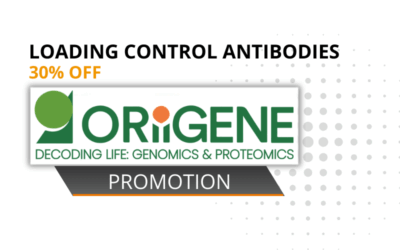 30% off Loading Control Antibodies